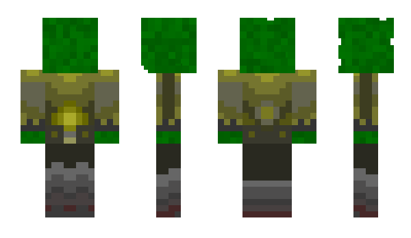 Minecraft skin Ecc0