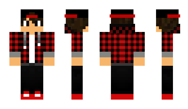 Minecraft skin RaypaX