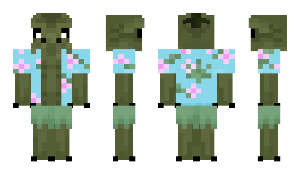 Minecraft skin Squidb