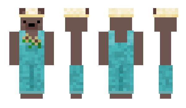 Minecraft skin Agenk