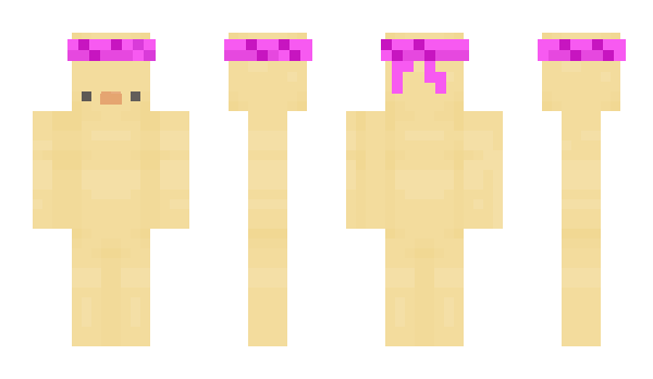 Minecraft skin Trtles