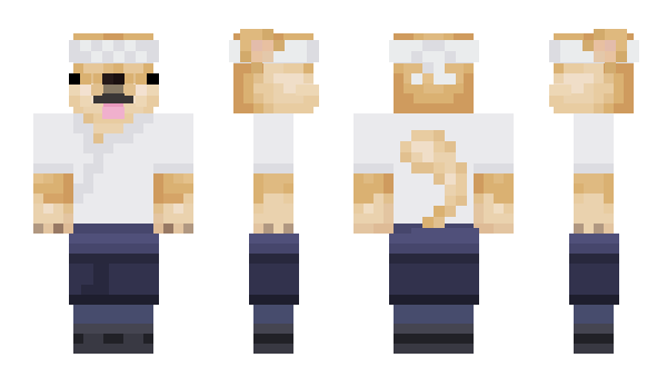 Minecraft skin Cryoslept