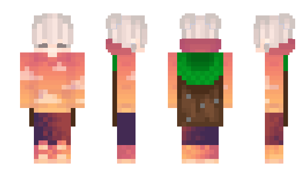 Minecraft skin Veselkov