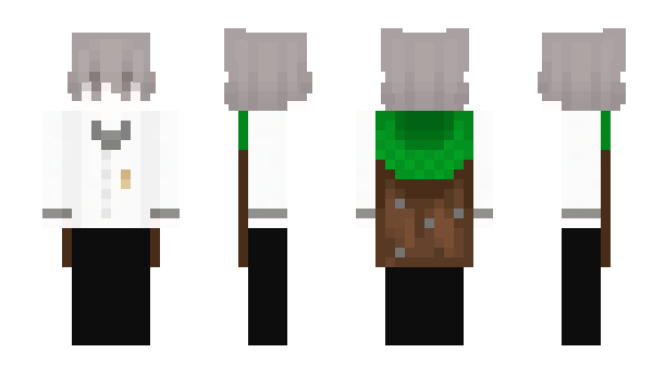 Minecraft skin sastx
