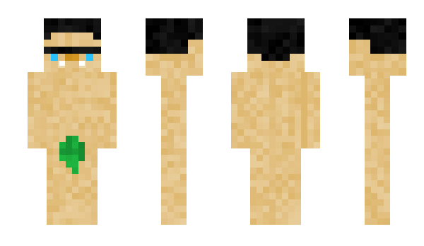 Minecraft skin DownLinked