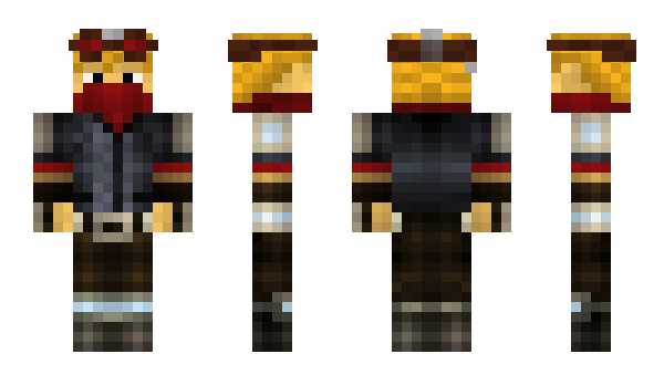 Minecraft skin KingSWE