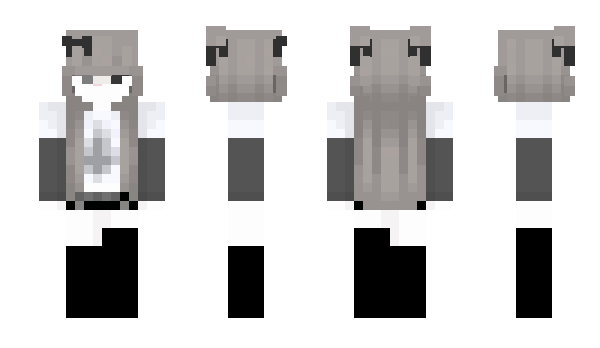 Minecraft skin _2pic