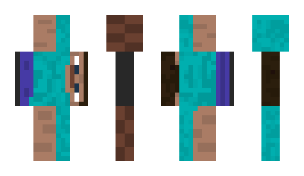 Minecraft skin Traer