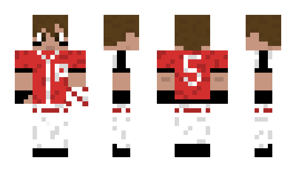 Minecraft skin erTed