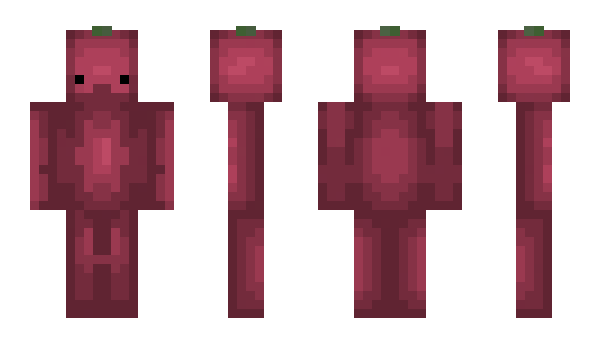 Minecraft skin Squsi