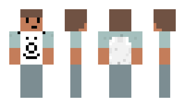 Minecraft skin FRANPRO