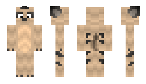 Minecraft skin Mr_Meerkat