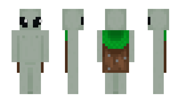 Minecraft skin ae_r