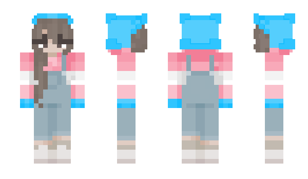 Minecraft skin 7753