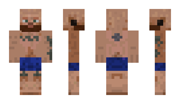 Minecraft skin sshrike