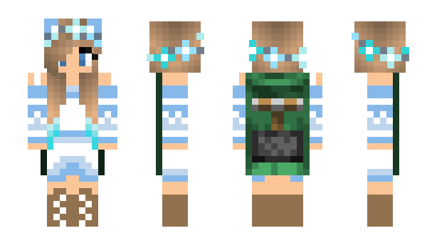 Minecraft skin mob_blaster