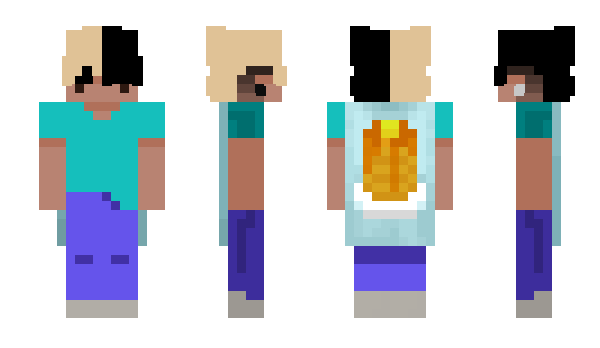 Minecraft skin S4NKID