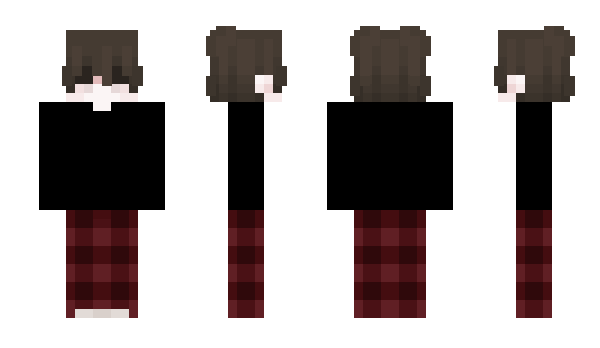 Minecraft skin hans_oo