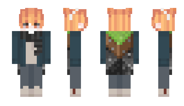 Minecraft skin Briky