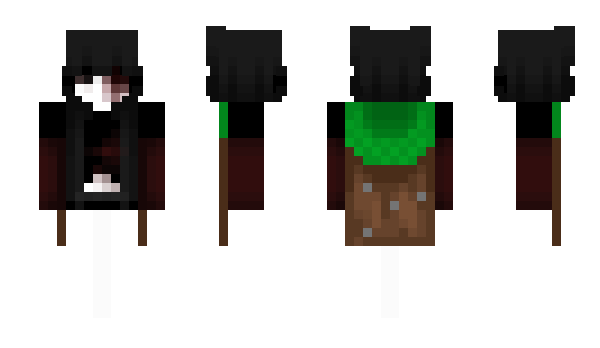 Minecraft skin altfr