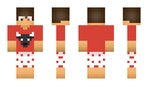 Minecraft skin _DJfoks_