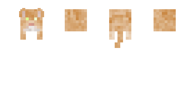 Minecraft skin Kyraleeg