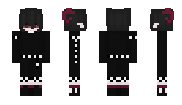 Minecraft skin liberlera