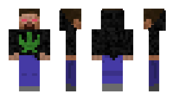 Minecraft skin Havokry