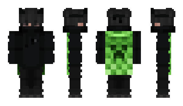 Minecraft skin madvey