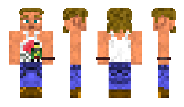 Minecraft skin Dollar_Bill