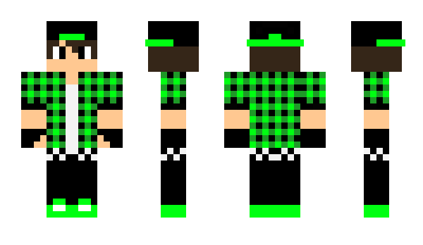 Minecraft skin liouli