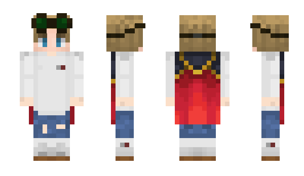 Minecraft skin DrMini