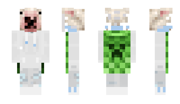 Minecraft skin HDMICables