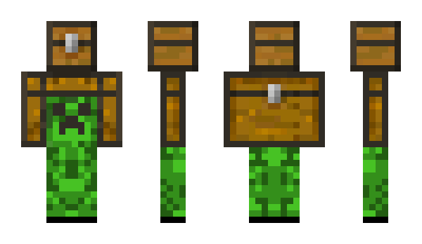 Minecraft skin defined