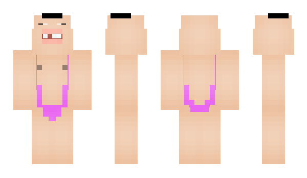 Minecraft skin LinkerTwix2_0