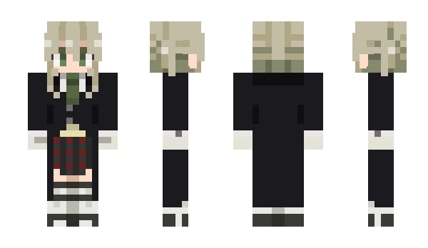 Minecraft skin endef