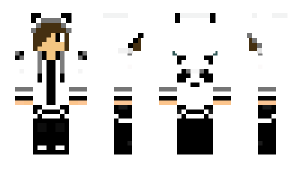 Minecraft skin ElectroXan