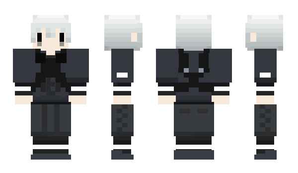 Minecraft skin KNBW
