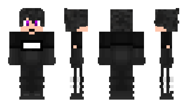 Minecraft skin Dashet