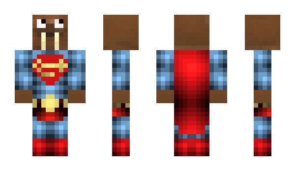 Minecraft skin DiiGer