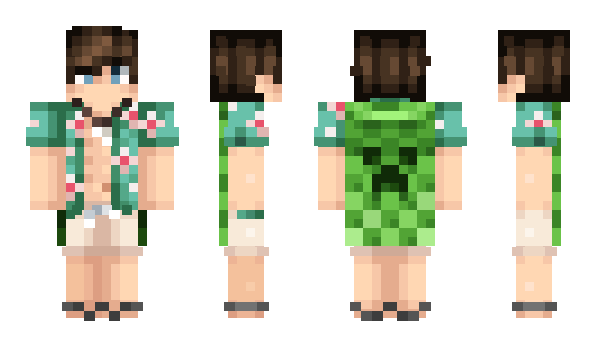 Minecraft skin Damino