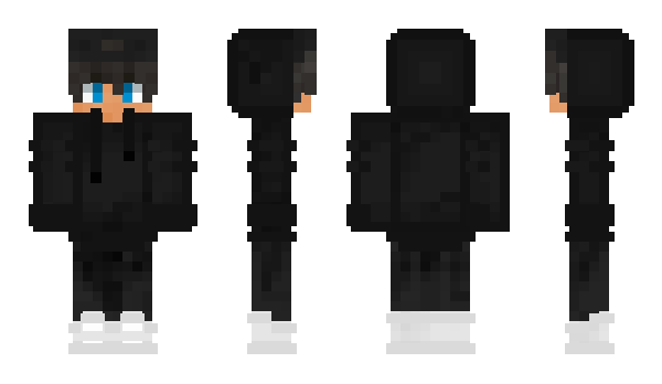 Minecraft skin ProjectLA