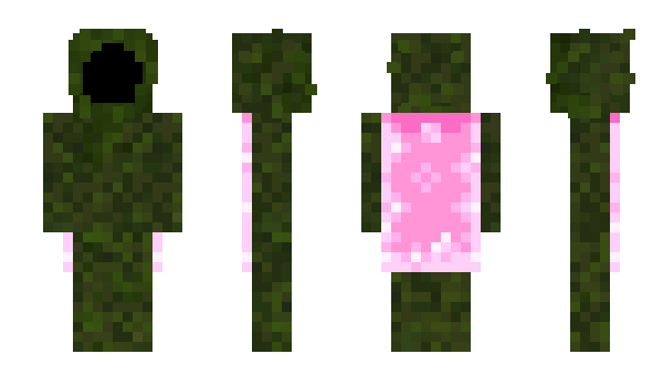Minecraft skin kow1x1