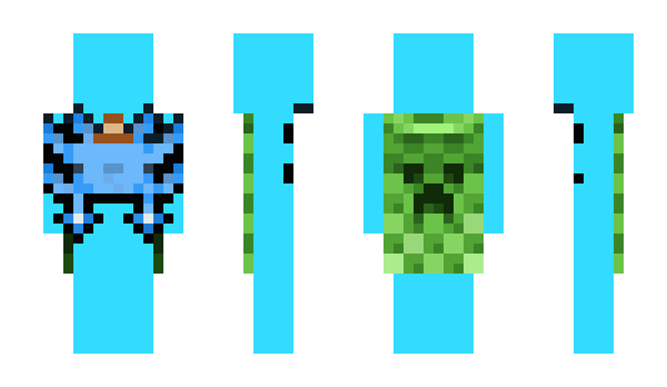 Minecraft skin __2_____