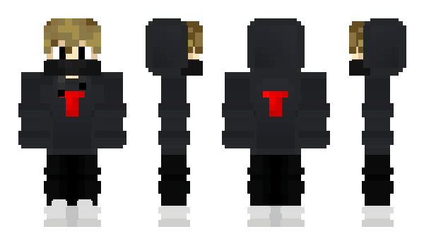 Minecraft skin TIDEN_5059