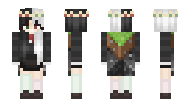 Minecraft skin D3nii