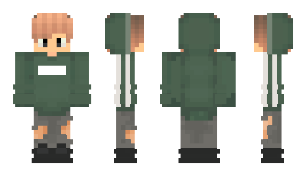 Minecraft skin Pnsc