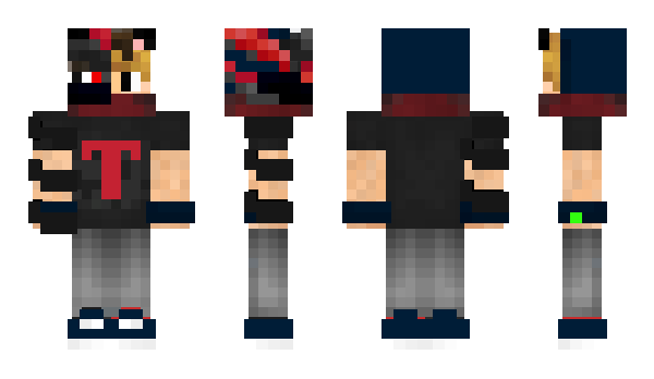 Minecraft skin tnsking24