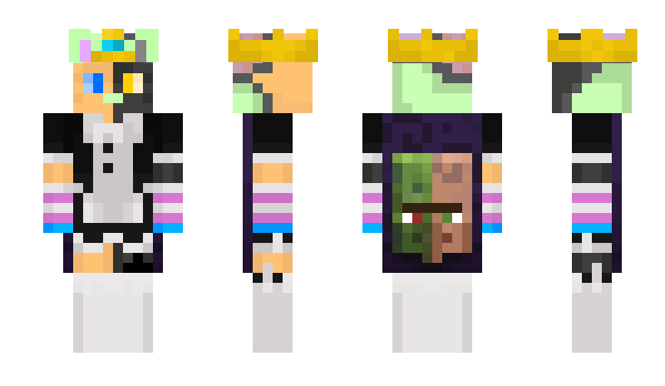 Minecraft skin CatOnVenus