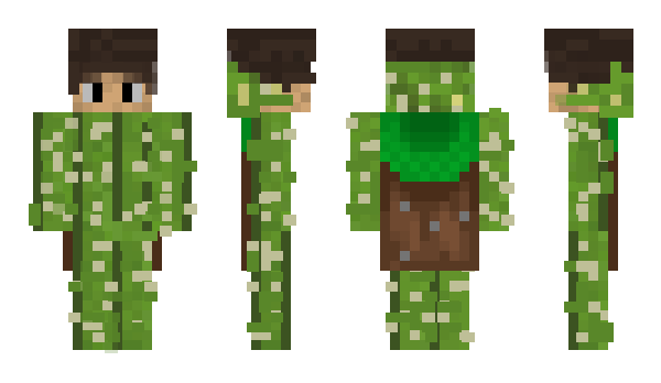 Minecraft skin StimeStype